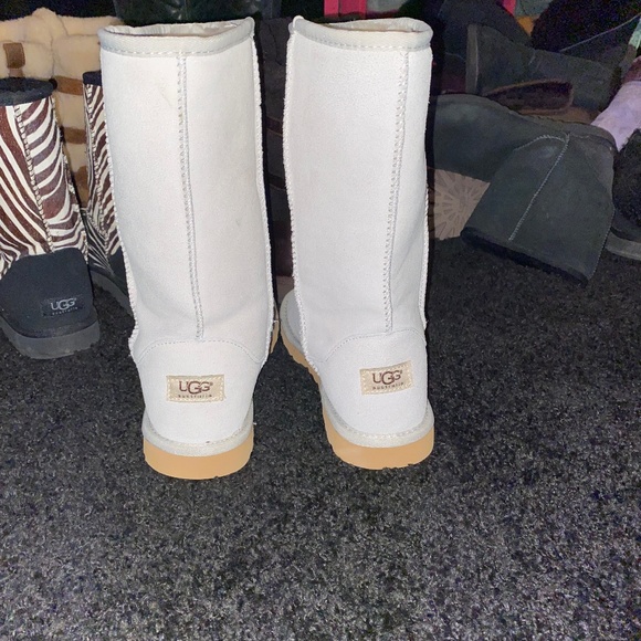 UGG Shoes - Brand New Tall Light Blue Uggs Size 9